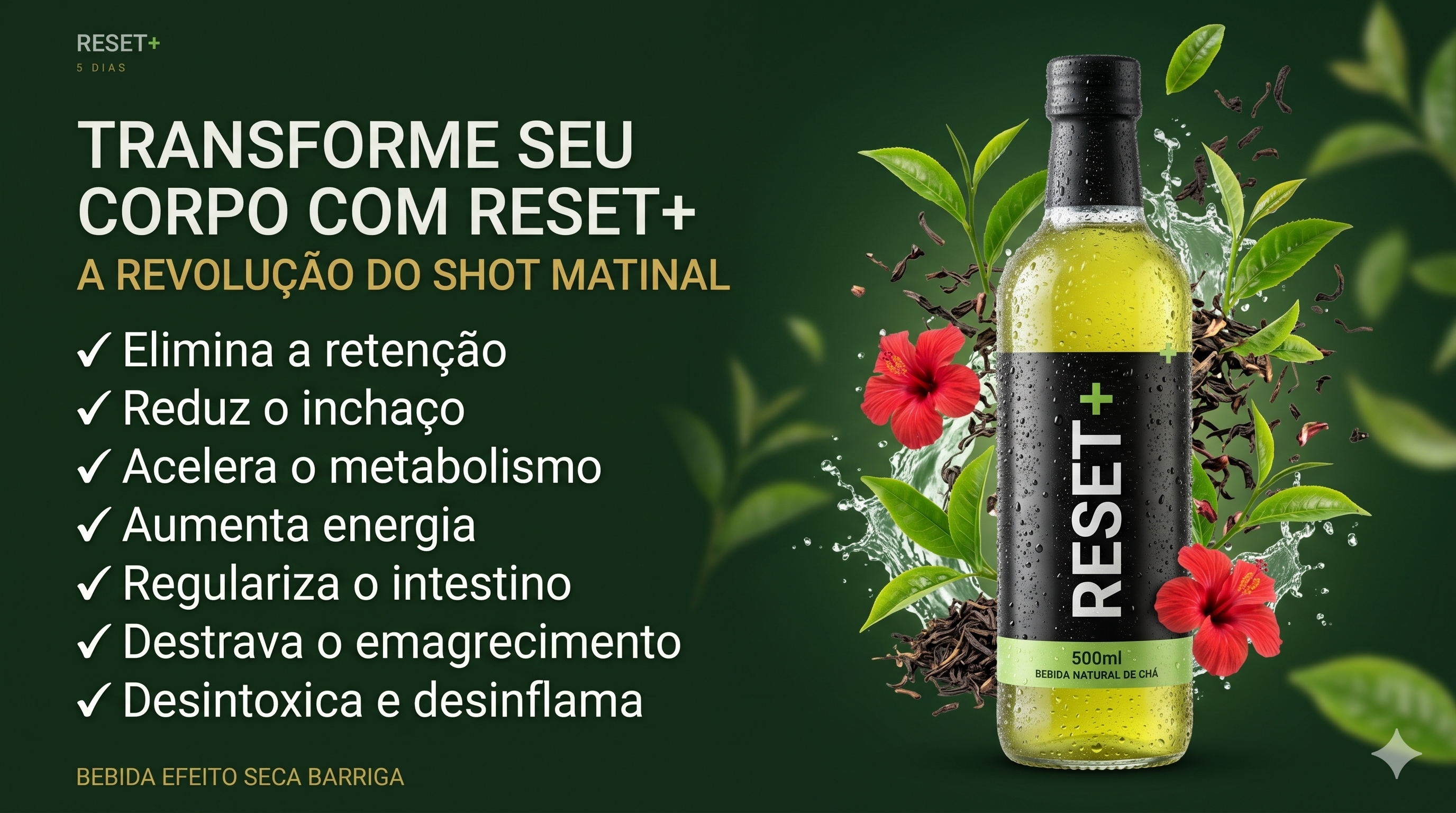 Bebida Reset+